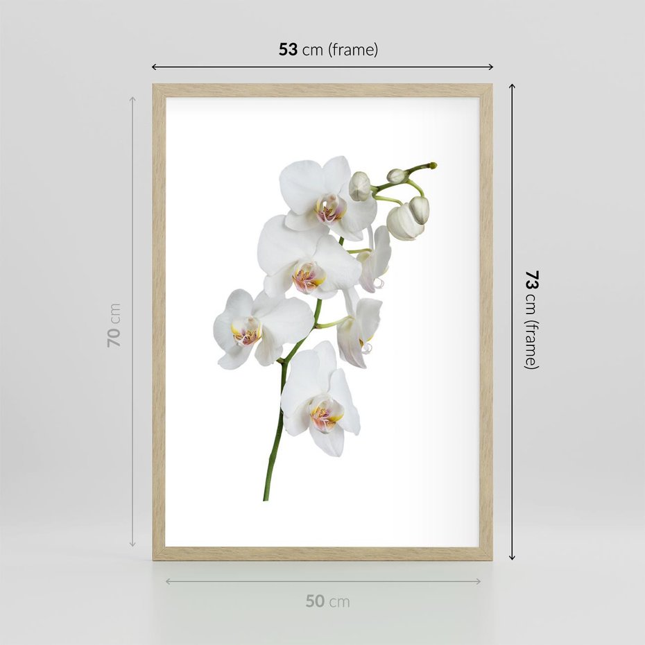 Plakat w ramie 50x70 - Ekskluzywny Relaks - storczyk, spa - rama drewno