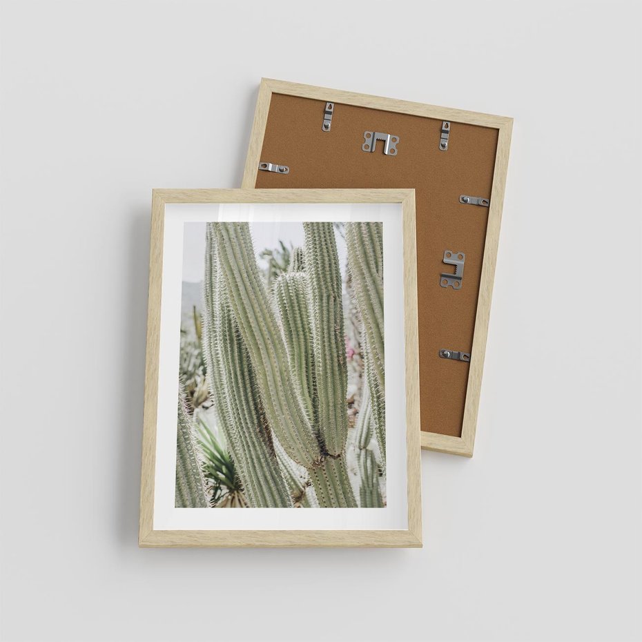 Plakat w ramie 30x40 - Duże Kaktusy w Pejzażu - kaktus, duże kaktusy na pustyni - rama drewno