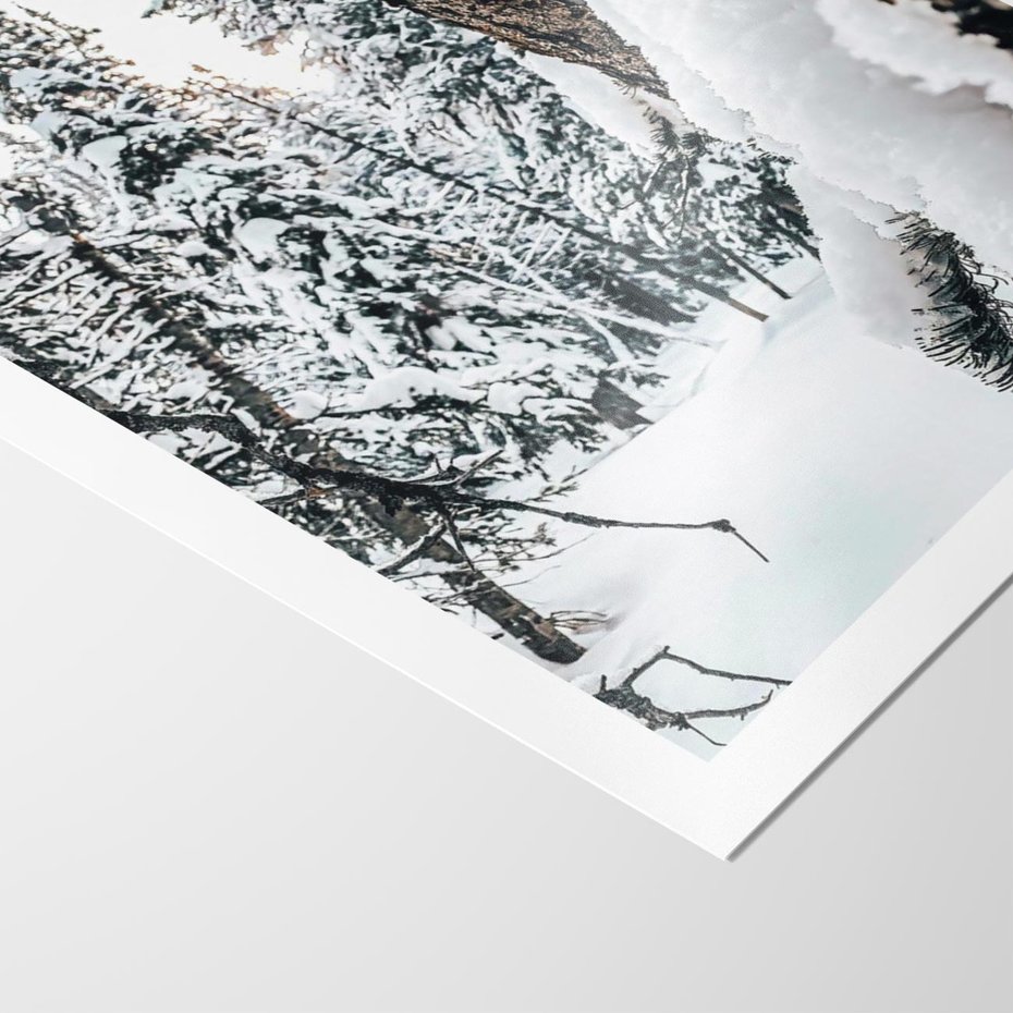 Plakat bez ramy 21x30 - Drzewa pod Śniegiem - zima las, drzewa pod śniegiem