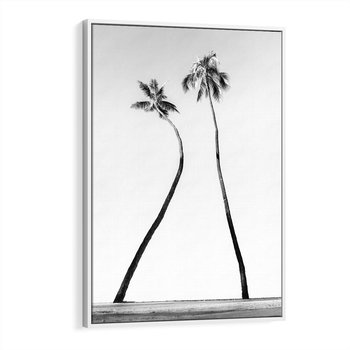 Obraz w ramie 80x120 - Samotne Palmy - czarno biała fotografia, dwie samotne palmy - rama biała