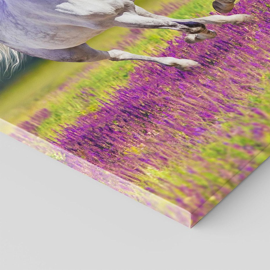 Obraz na płótnie 80x120 - Koń Góry: Spotkanie z Wielką Przyrodą - koń, góry