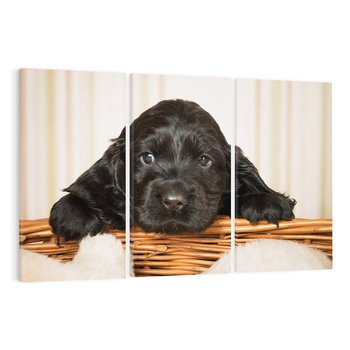 Obraz na płótnie 120x80 - Uroczy szczeniak w akcji - piesek, szczeniak