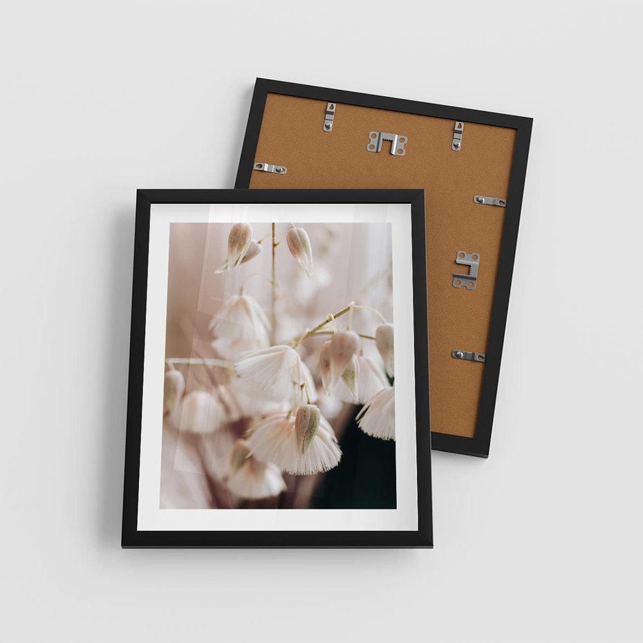 Plakat w ramie 40x50 - Suszona Delikatność - suszone kwiaty, rośliny - rama czarna