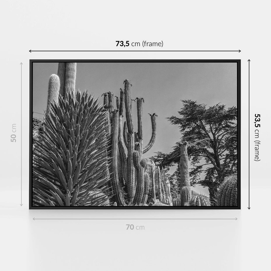 Obraz w ramie 70x50 - Pustynny Klimat - czarno białe zdjecie, pustynia - rama czarna