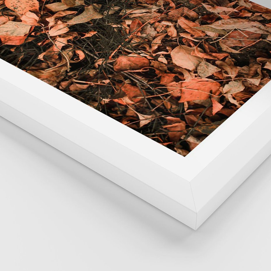 Plakat w ramie 50x70 - Jesienny Splot: Pomarańczowe Liście - liście, pomarańczowe suche liście - rama biała