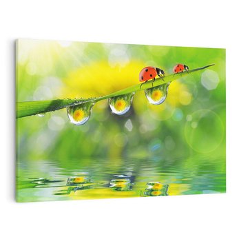 Obraz na płótnie 120x80 - Deszczowa Biedronka - biedronka, deszcz