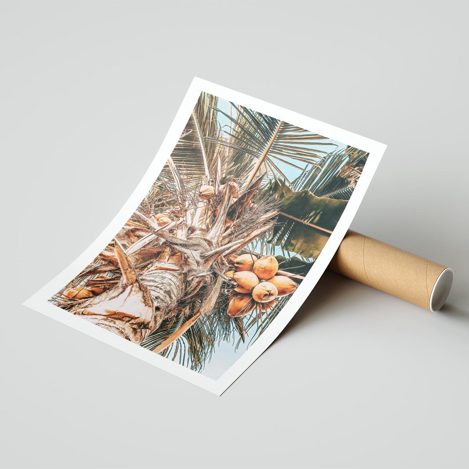 Plakat bez ramy 30x40 - Tropikalna Palma: Fotografia z Kokosami - palma kokosowa, kokosy