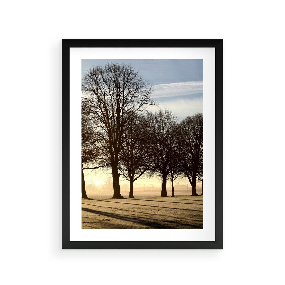 Plakat w ramie 30x40 - Siła natury - drzewa, pole - rama czarna