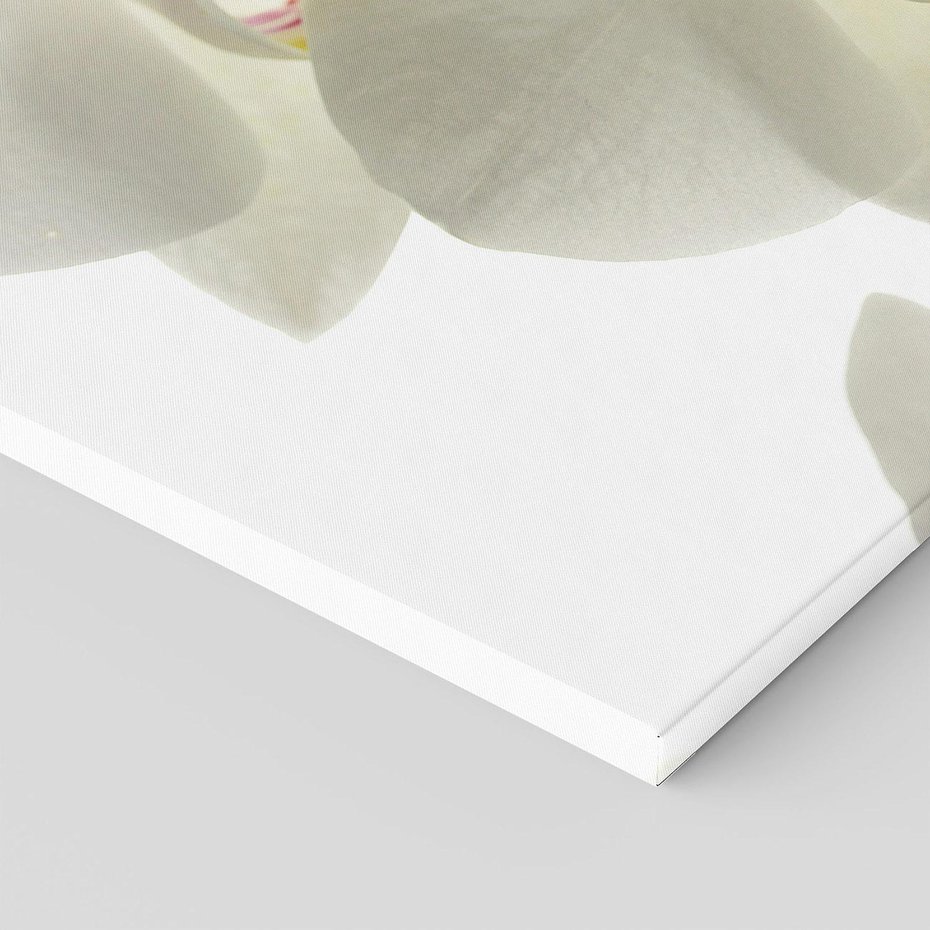 Obraz na płótnie 120x80 - Kwiatowe piękno - kwiat, kwiaty