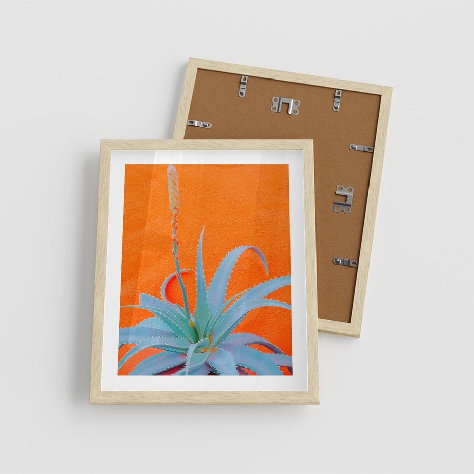 Plakat w ramie 40x50 - Naturalna Harmonia - kaktusy, liście - rama drewno