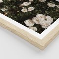Plakat w ramie 30x40 - Czyste Piękno - białe kwiaty, białe róże - rama drewno