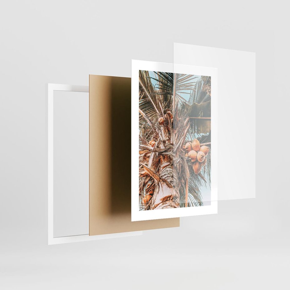 Plakat w ramie 30x40 - Tropikalna Palma: Fotografia z Kokosami - palma kokosowa, kokosy - rama biała