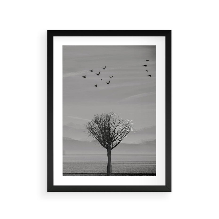 Plakat w ramie 30x40 - Samotne Drzewo - samotne drzewo w polu, czarno białe zdjęcie - rama czarna