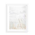 Plakat w ramie 50x70 - Jasna Delikatność: Fotografia Suchych Traw - suche trawy, jasna fotografia - rama biała