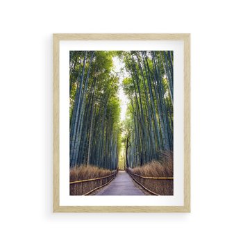 Plakat w ramie 30x40 - Urokliwa dróżka w lesie - las, dróżka - rama drewno