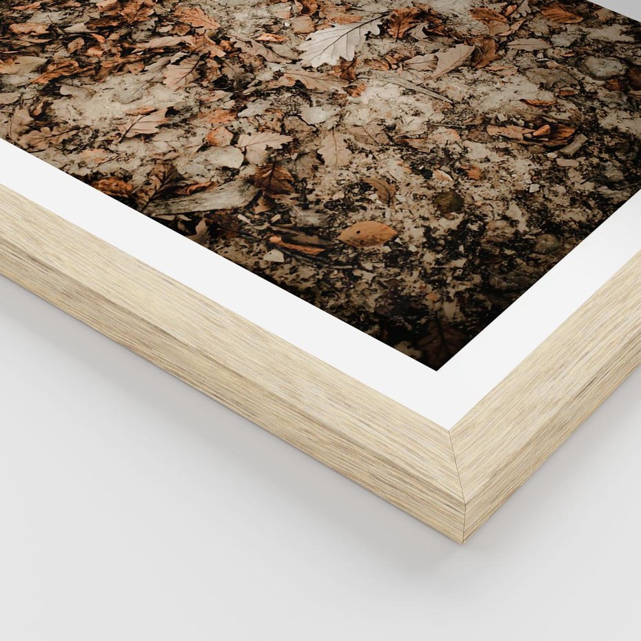 Plakat w ramie 50x70 - Suchość Liści w Brązowych Tonach - suche liście jesień brąz - rama drewno