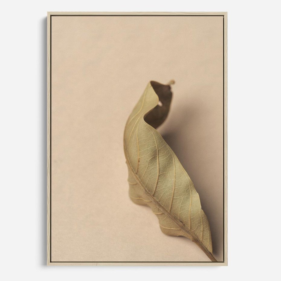 Obraz w ramie 80x120 - Boho suszone liście - suszony, liść - rama drewno