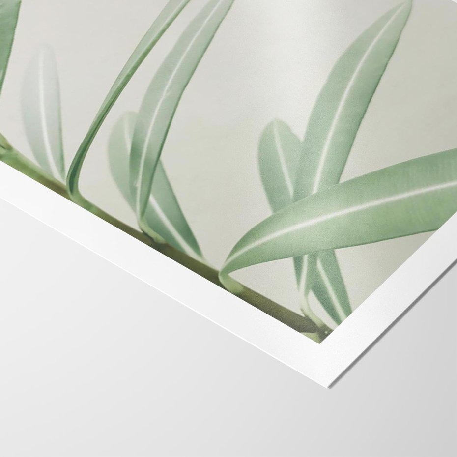 Plakat bez ramy 21x30 - Minimalistyczna Tropikalna Harmonia - tropikalna roślina, zielone liście