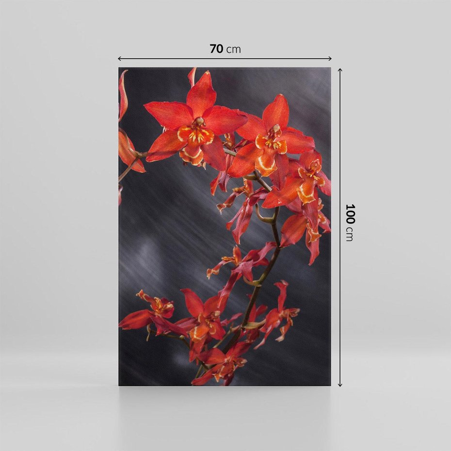 Obraz na płótnie 70x100 - Kolorowy Raj - kwiaty, tropikalne