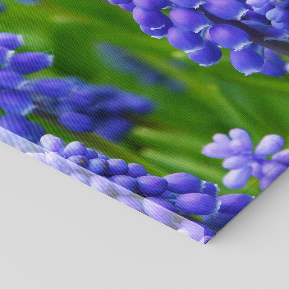 Obraz na płótnie 80x120 - Urok Lawendy - lawenda, kwiat