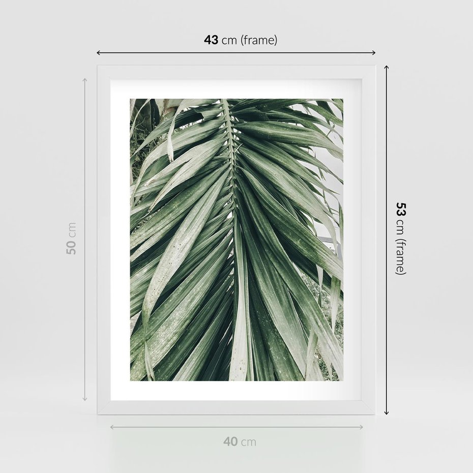 Plakat w ramie 40x50 - Spokojna Piękność Palmowych Liści - palma, liście palmy - rama biała