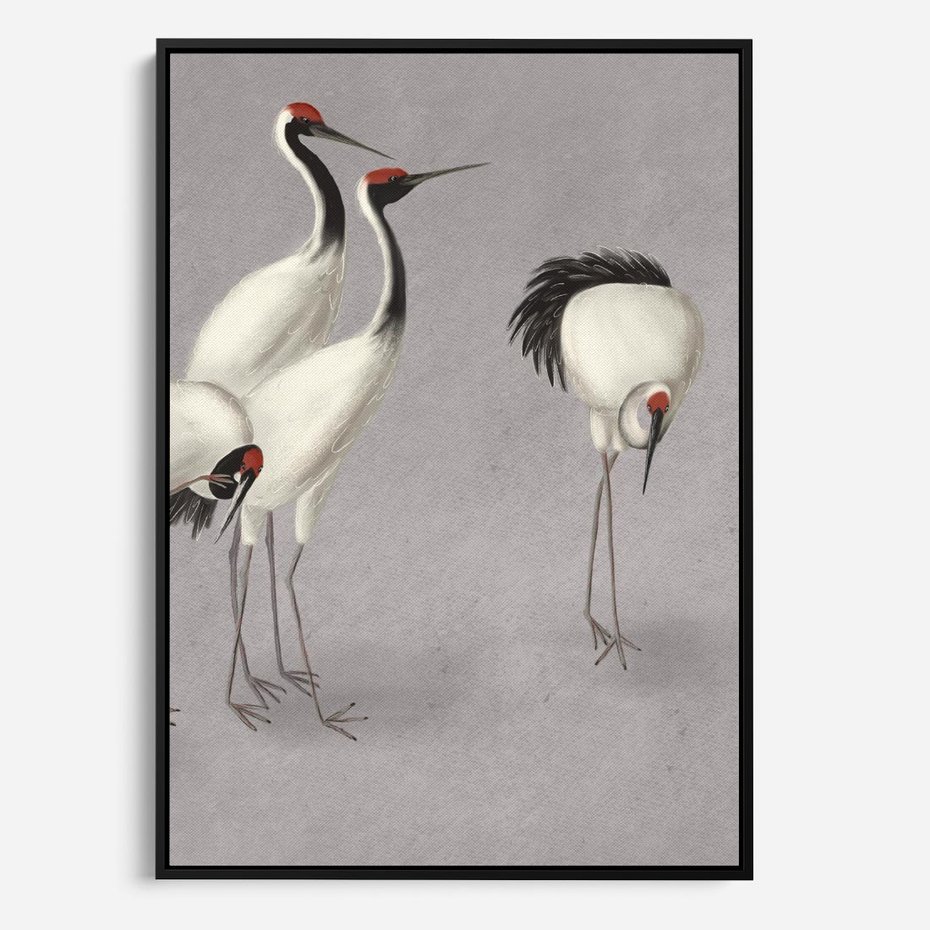 Obraz w ramie 50x70 - Spojrzenie wstecz w pędzlu - szkic rysunek, japońskie żurawie - rama czarna