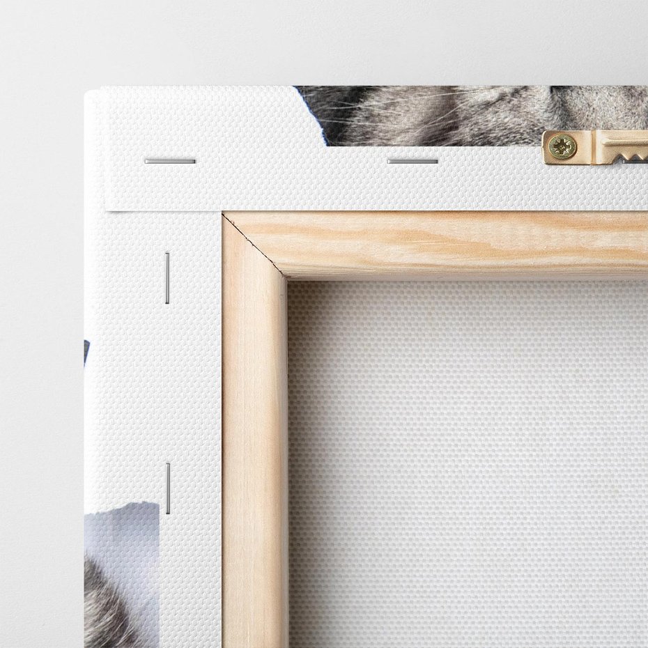 Obraz na płótnie 80x120 - Tajemniczy kot i jego świat - kot, dziura