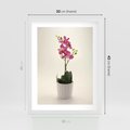 Plakat w ramie 30x40 - Delikatność storczyka orchidei - storczyk, orchidea - rama biała