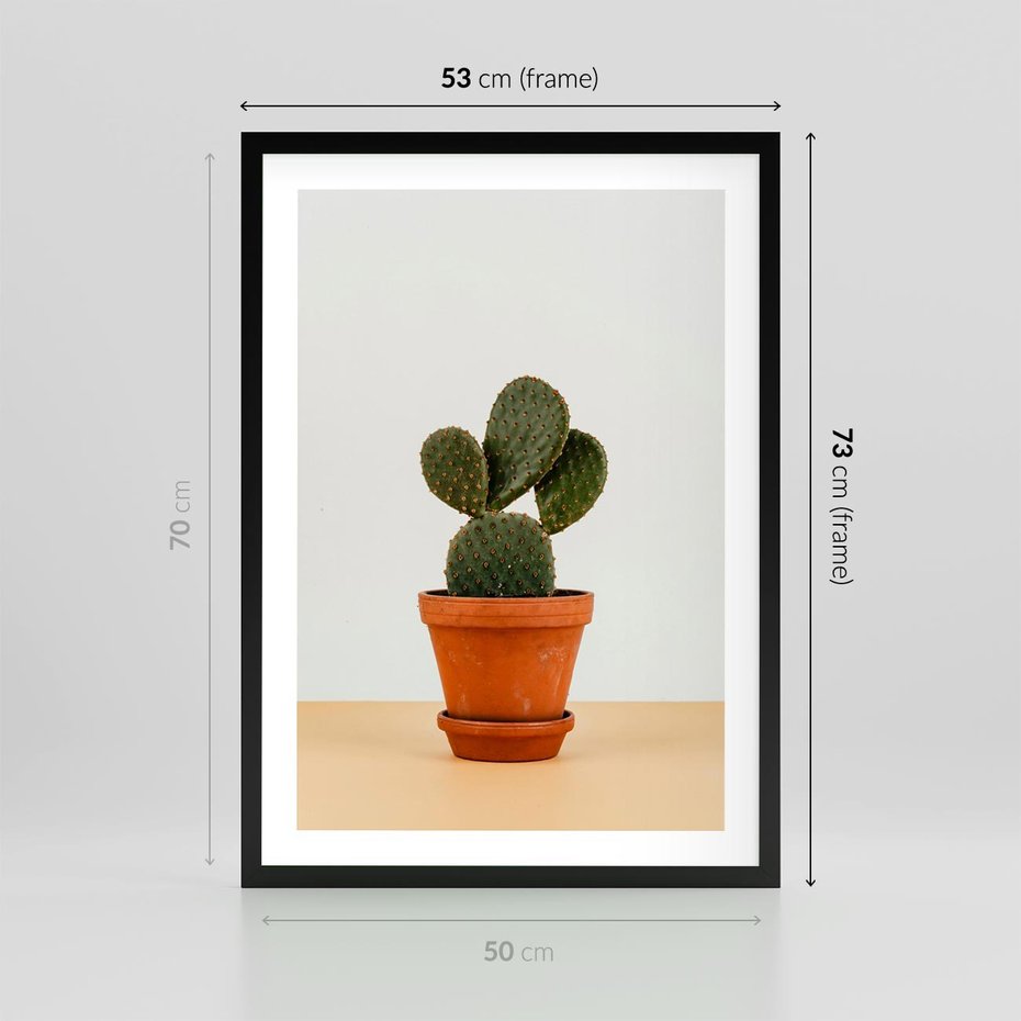 Plakat w ramie 50x70 - Kwiatowy taniec kaktusa - kaktus, kwiat - rama czarna