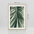 Plakat w ramie 50x70 - Spokojna Piękność Palmowych Liści - palma, liście palmy - rama drewno