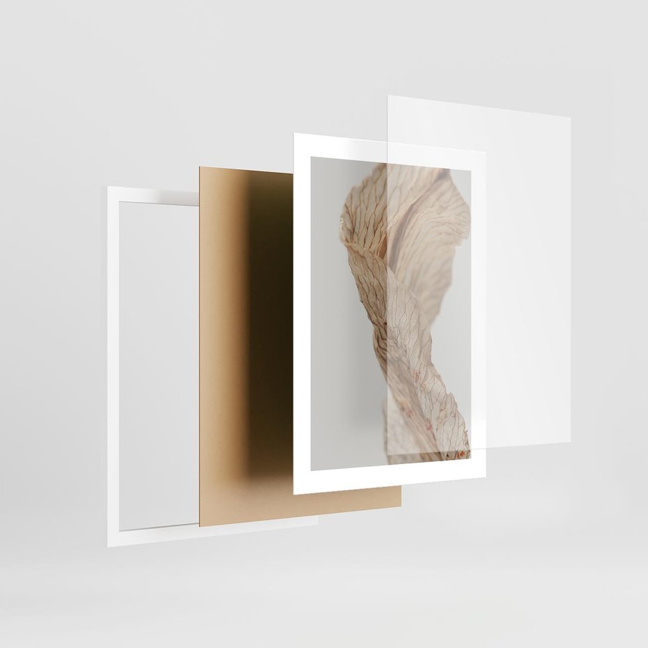 Plakat w ramie 30x40 - Suszone piękno - susz, suche - rama biała