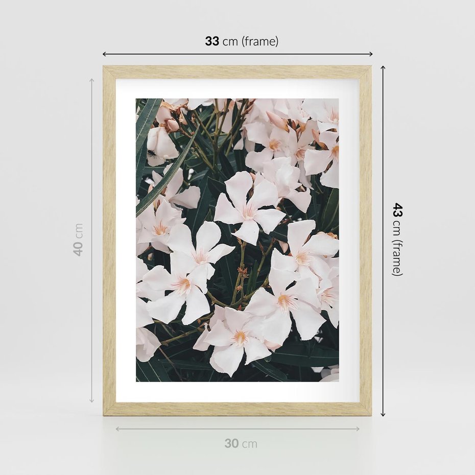 Plakat w ramie 30x40 - Egzotyczna Uroda - białe kwiaty, tropikalne kwiaty - rama drewno