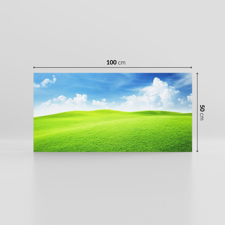 Obraz na płótnie 100x50 - Łąka pod Niebem - łąka, niebo
