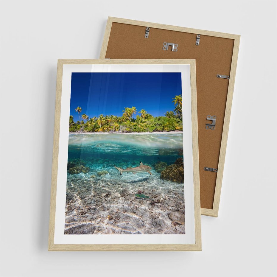 Plakat w ramie 50x70 - Tropikalne Morze i Kolorowa Rafa - tropikalne, morze - rama drewno