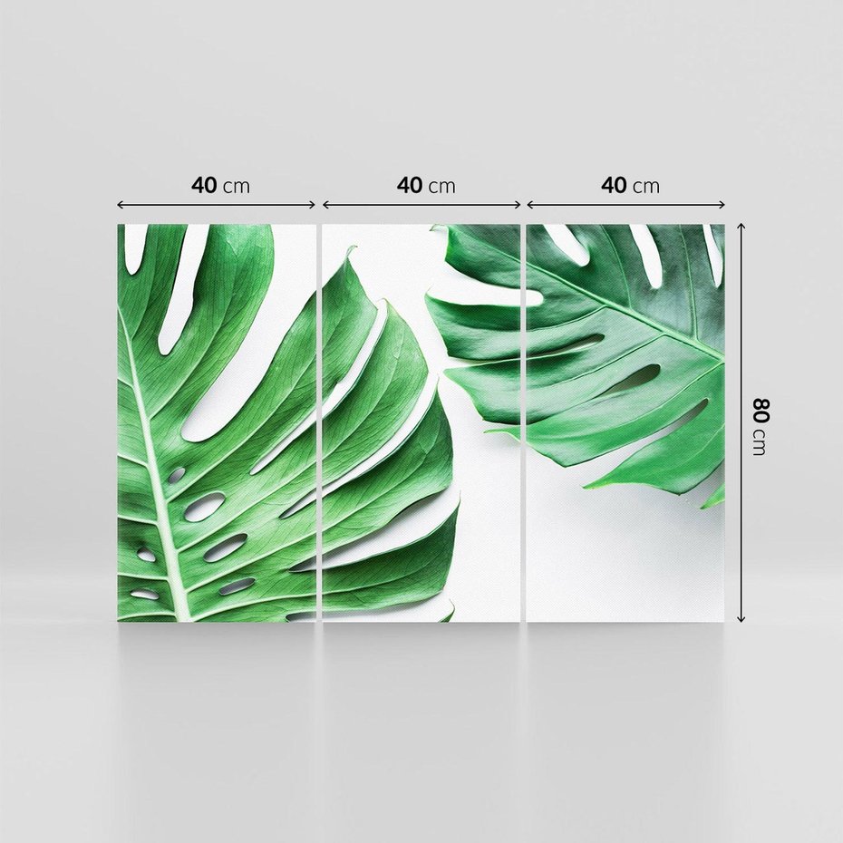 Obraz na płótnie 120x80 - Monstera - Liście Kwiaty - monstera, liście