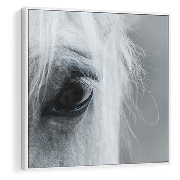 Obraz w ramie 80x80 - Oko Mocy - czarno białe zdjęcie, zbliżenie makro na oko konia - rama biała