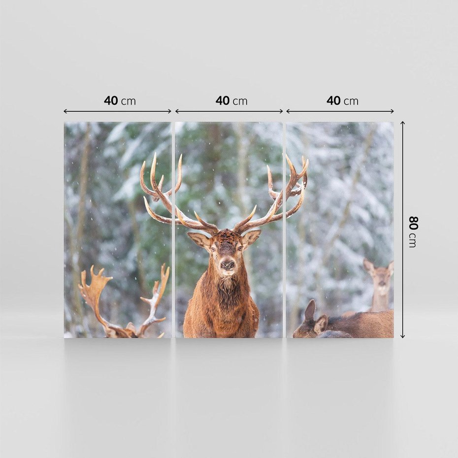 Obraz na płótnie 120x80 - Monarcha Zimowej Dziczy - jeleń, zima