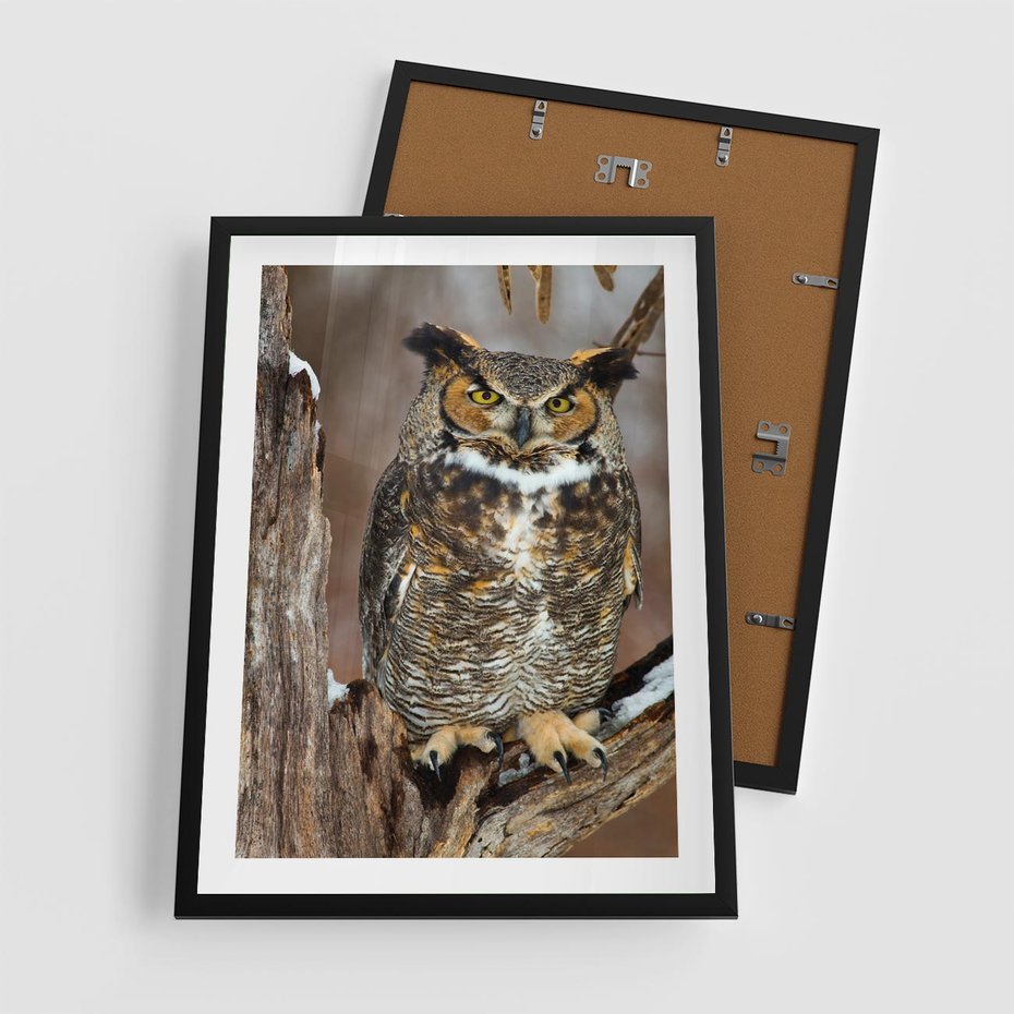 Plakat w ramie 50x70 - Tajemniczy Stróż - sowa, las - rama czarna