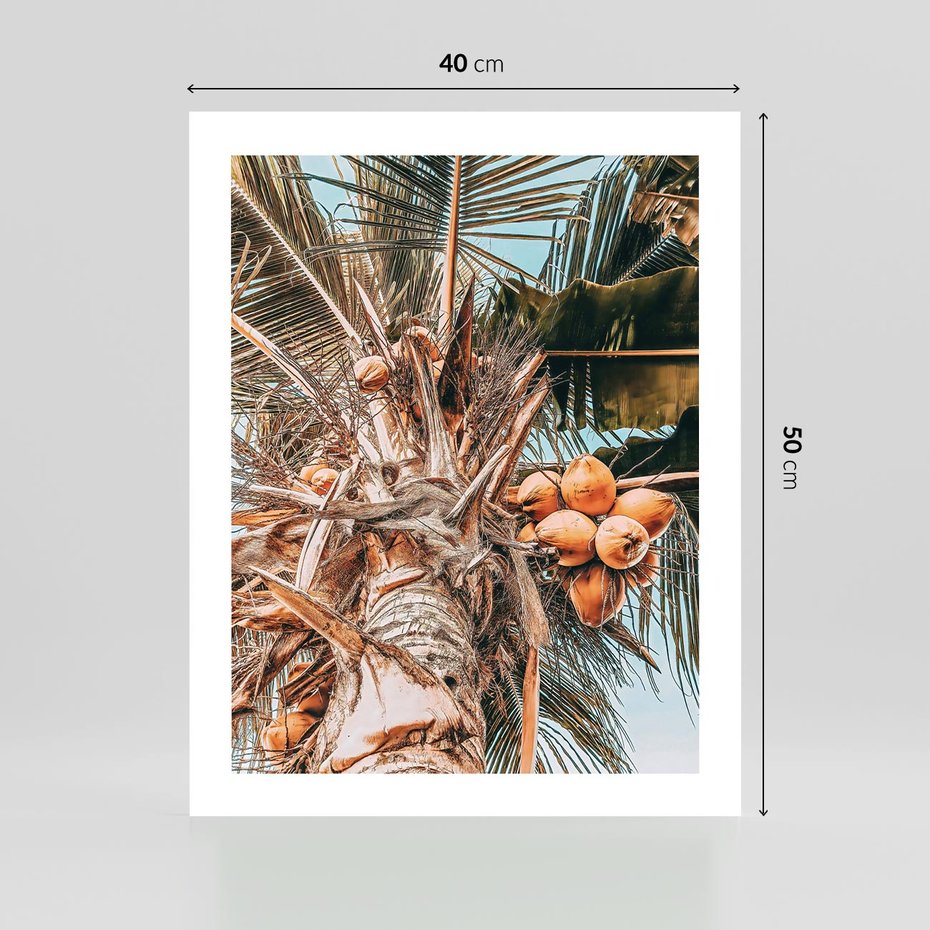 Plakat bez ramy 40x50 - Tropikalna Palma: Fotografia z Kokosami - palma kokosowa, kokosy