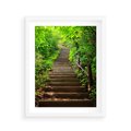 Plakat w ramie 40x50 - Lasowa ścieżka pełna tajemnic - ścieżka, schody - rama biała