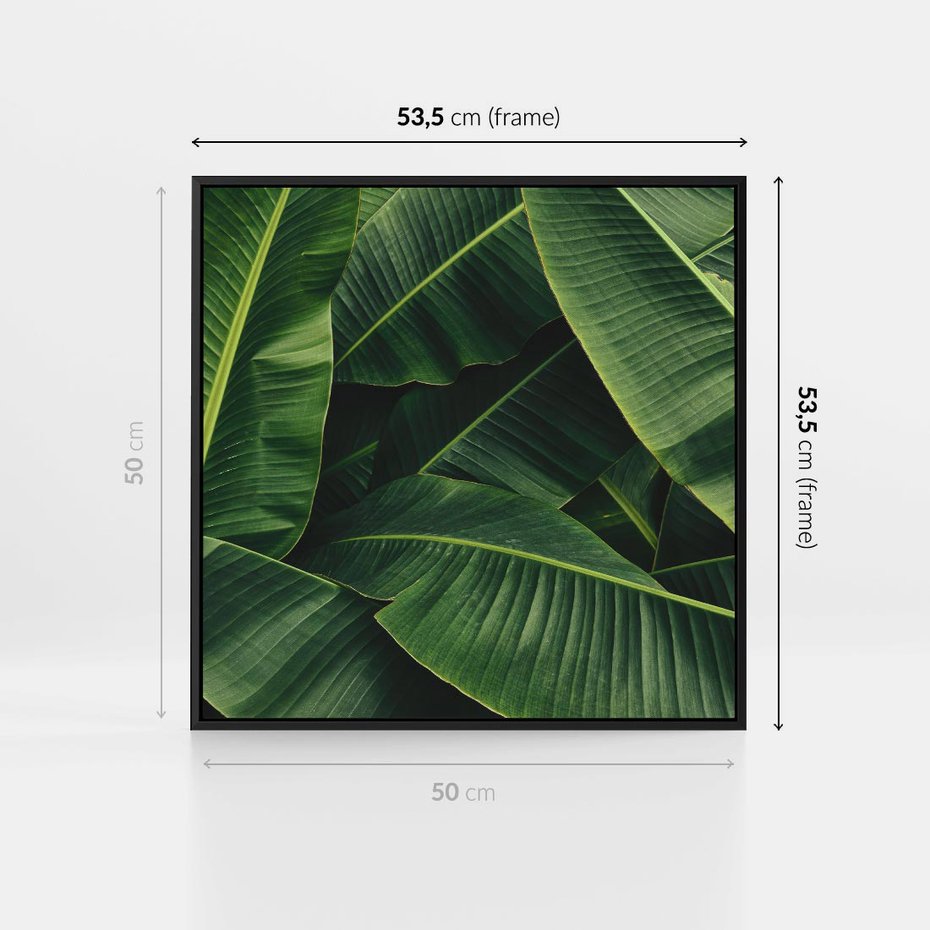 Obraz w ramie 50x50 - Zaklęta roślinna ekspresja - liście bananowca, gęsto ułożone - rama czarna