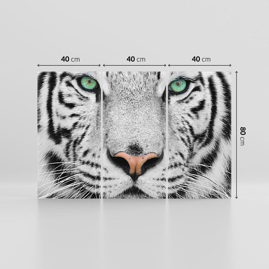 Obraz na płótnie 120x80 - Magia Białego Tygrysa - biały, tygrys