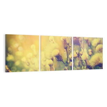 Obraz na płótnie 150x50 - Natura w pełnym rozkwicie - łąka, natura