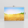Obraz na płótnie 120x80 - Żyzne Pola - pole, pszenicy