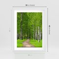 Plakat w ramie 30x40 - Spacer Ścieżką w Urokliwym Lesie - las, ścieżka - rama biała