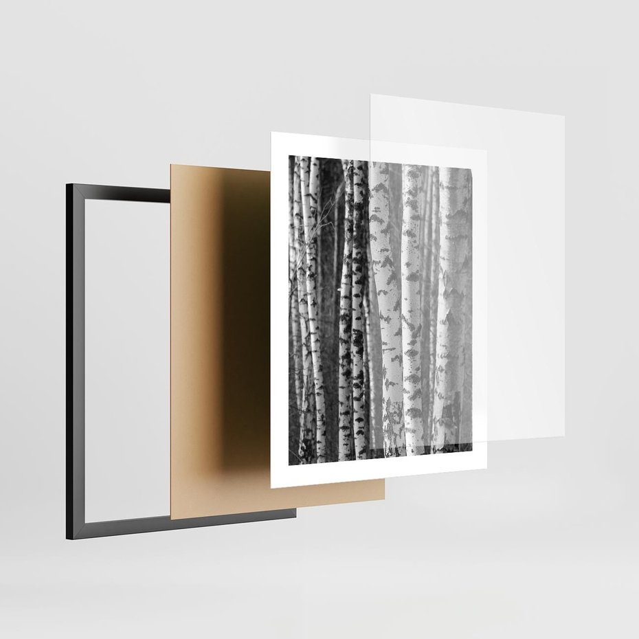 Plakat w ramie 40x50 - Kontrast Monochromatyczny - brzozy, czarno - rama czarna