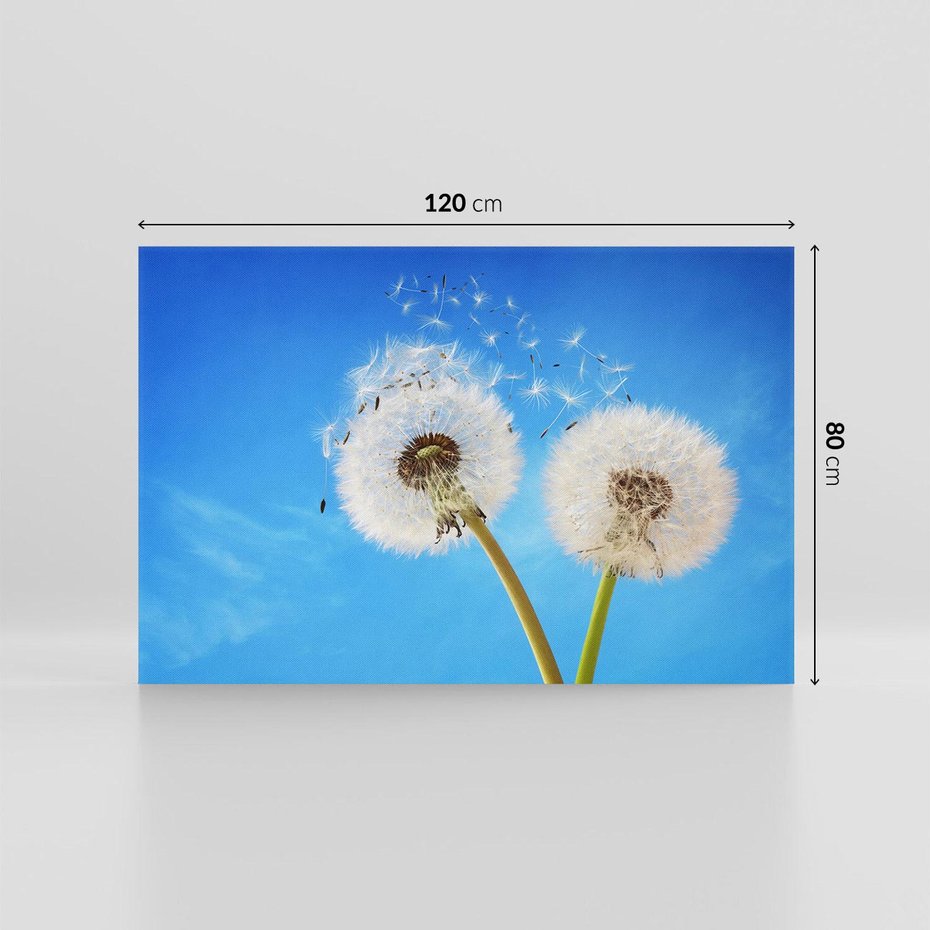 Obraz na płótnie 120x80 - wiatr pełen marzeń - dmuchawce, wiatr