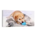 Obraz na płótnie 140x70 - Radość w zabawie: Piesek jako najlepszy przyjaciel - pies, piesek