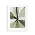 Plakat w ramie 30x40 - Jasna Zieleń w Makro - makro zdjęcie liści, jasna zieleń - rama biała