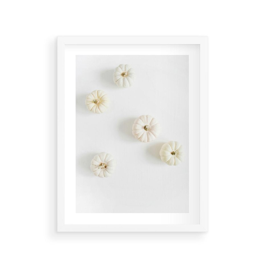 Plakat w ramie 30x40 - Biała Jesień: Dynie na Jasnym Tle - białe dynie, białe tło - rama biała